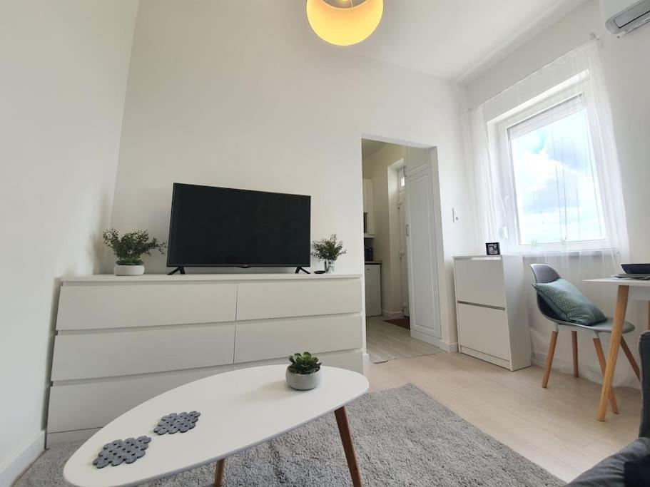 Master Apartment With Air Condition And Separated Rooftop Terrace Budapest Exterior foto